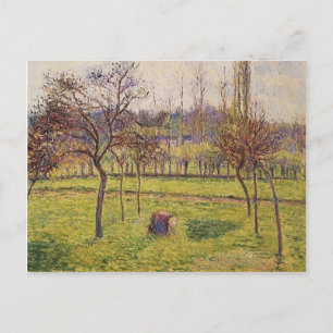 Camille Pissarro-Apple Träd i Fält Vykort