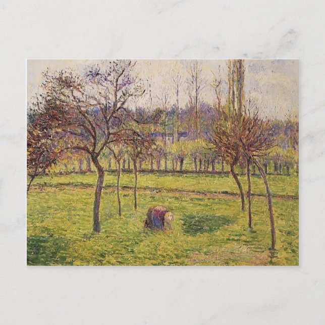 Camille Pissarro-Apple Träd i Fält Vykort (Framsida)