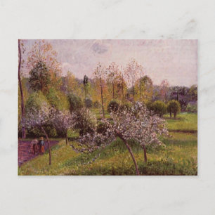 Camille Pissarro- Blommar Apple Träd, Eragny Vykort
