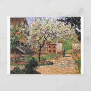 Camille Pissarro - Blommar Plum Träd 1894 Eragny Vykort