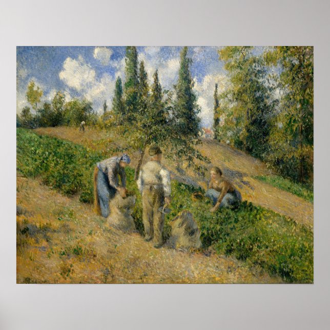 Camille Pissarro | Harvest, Pontoise Poster (Framsidan)