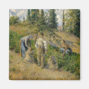 Camille Pissarro skörden, Pontoise Magnet