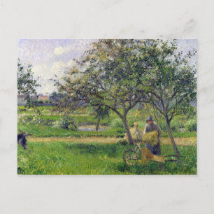 Camille Pissarro   Trillebäran, Fruktträdgård, c.1 Vykort