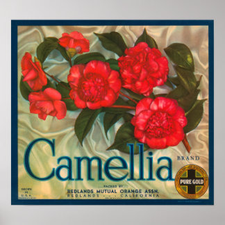Camillia Brand Oranges Classic Fruit Låda-etikett Poster