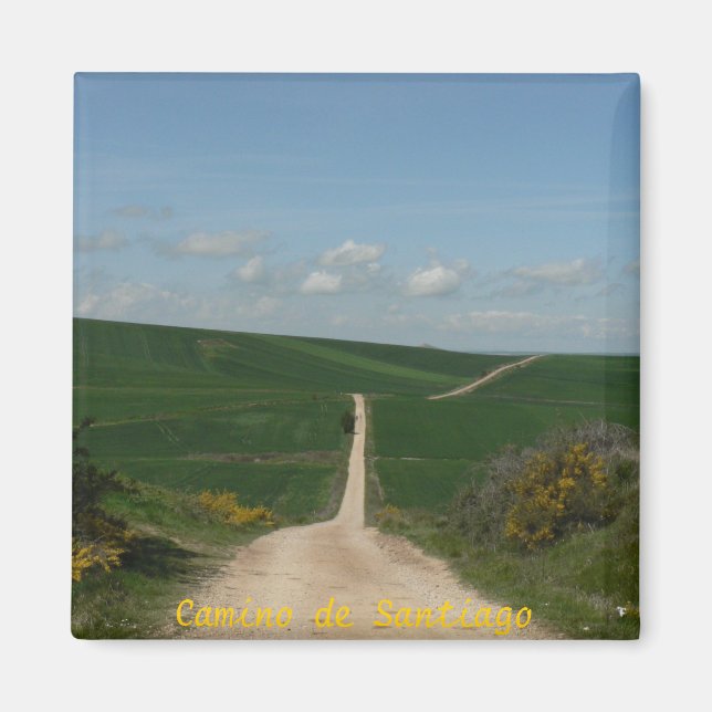 Camino de Santiago Magnet (Framsidan)