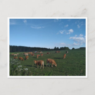 Camino Primitivo de Santiago (Spanien) Vykort