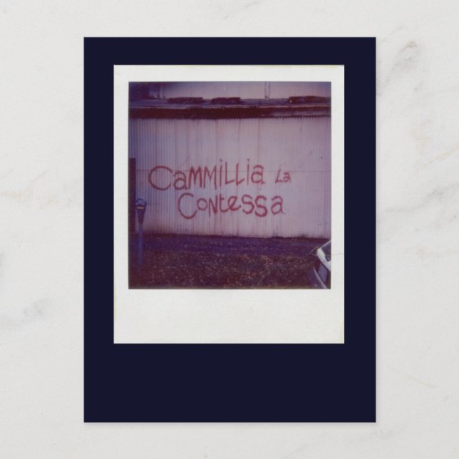 Cammillia la Contessa graffiti i Southbank Vykort (Framsida)