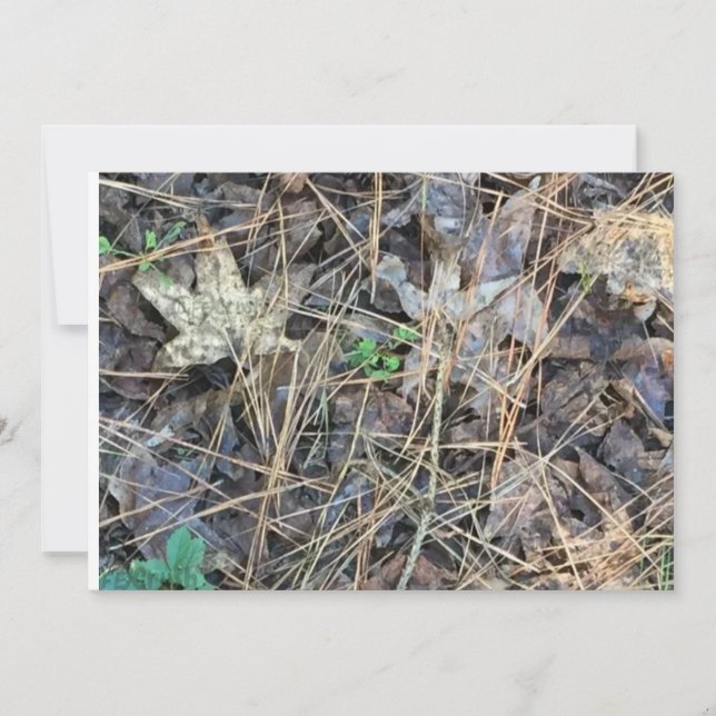 Camo Blank-inbjudningar, kamouflage Inbjudningar (Framsida)