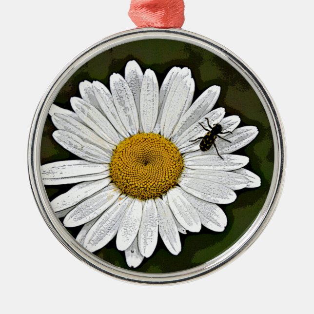 Camo daisy julgransprydnad metall (Framsidan)