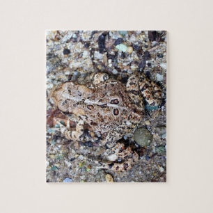 Camoflouge Frog Toad Amphibian Pussel