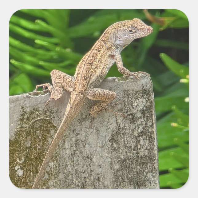 Camouflage Master Fyrkantigt Klistermärke (Framsida)