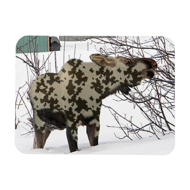 Camouflage Moose Magnet (Horisontell)