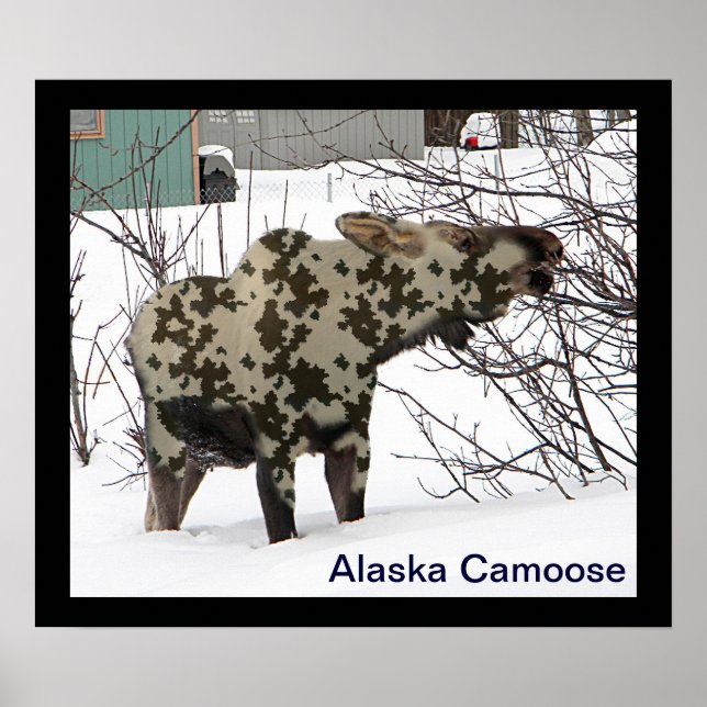 Camouflage Moose Poster (Framsidan)
