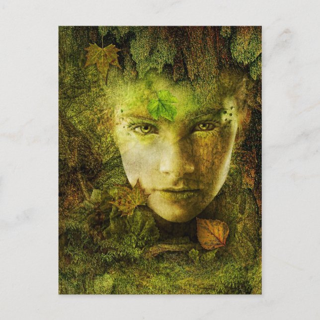 Camouflage-vykort Vykort (Framsida)