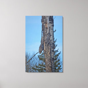 Camoufled Underbar Grått Uggla och Träd Wildlife P Canvastryck