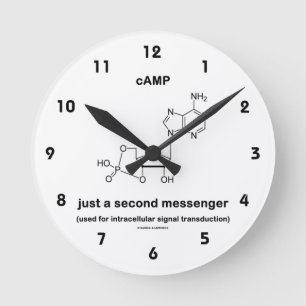 cAMP-molekylen bara en andra Messenger Rund Klocka