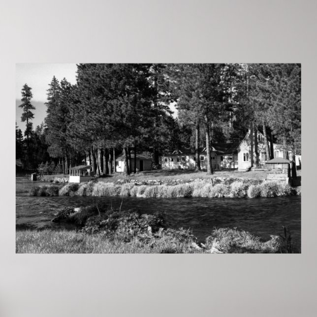 Camp Sherman, Oregon, vy av Rogers Cabins Poster (Framsidan)