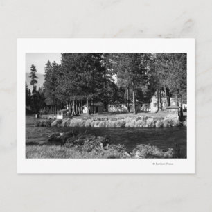 Camp Sherman, Oregon, vy av Rogers Cabins Vykort