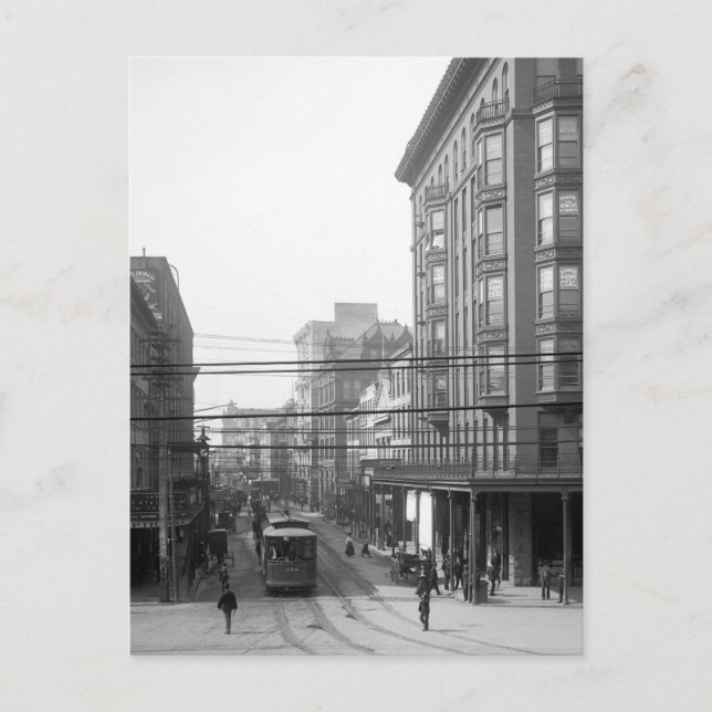 Camp Street, New Orleans: 1906 Vykort (Framsida)