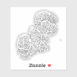 Campamalia Mushroom Sticker Klistermärken
