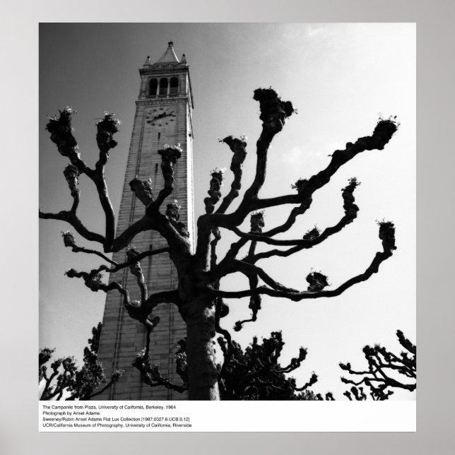 Campanile från Plaza, UC Berkeley, 1964 Poster (Framsidan)