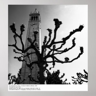 Campanilen från Plaza, Uc Berkeley, 1964 Poster