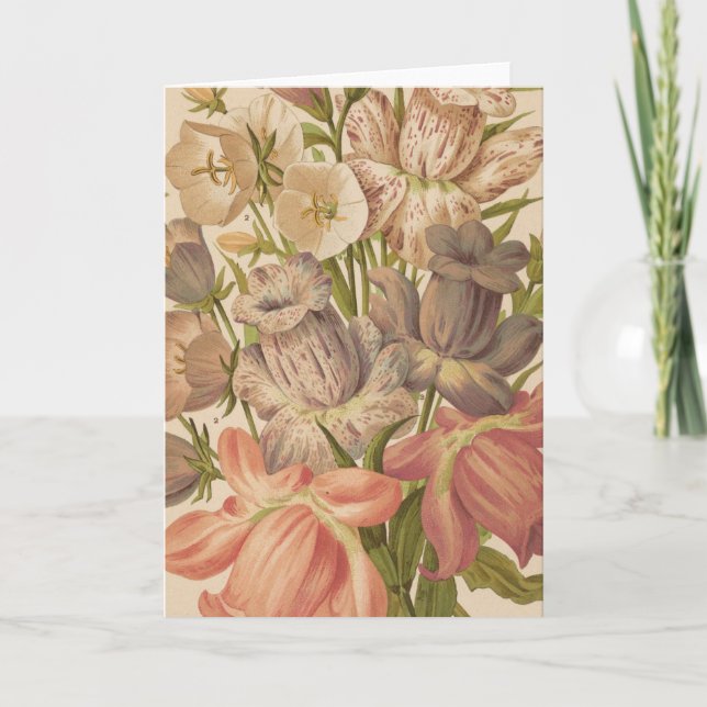 Campanula | George Nicholson Kort (Framsida)