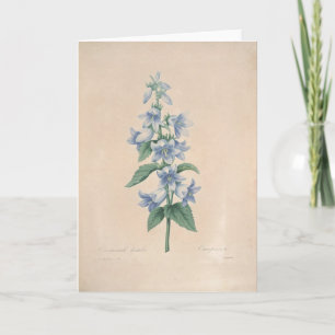 Campanula vid Redoute det botaniska sympatikortet Tack Kort