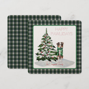 Campbell Dress Modern Tartan Lycklig Pawlidays Hun