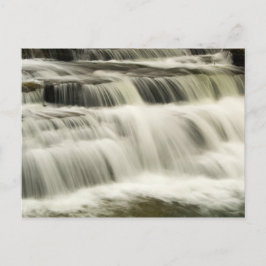 Campbell Falls, Väster Virginia Vykort