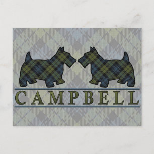 Campbell Tartan Hundar Vykort