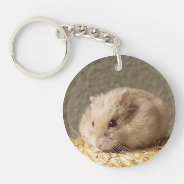 Campbells Dwarf Russian Hamster, Argentina (Framsidan)