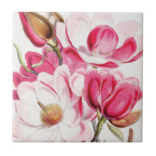 Campbells Magnolia Kakelplatta