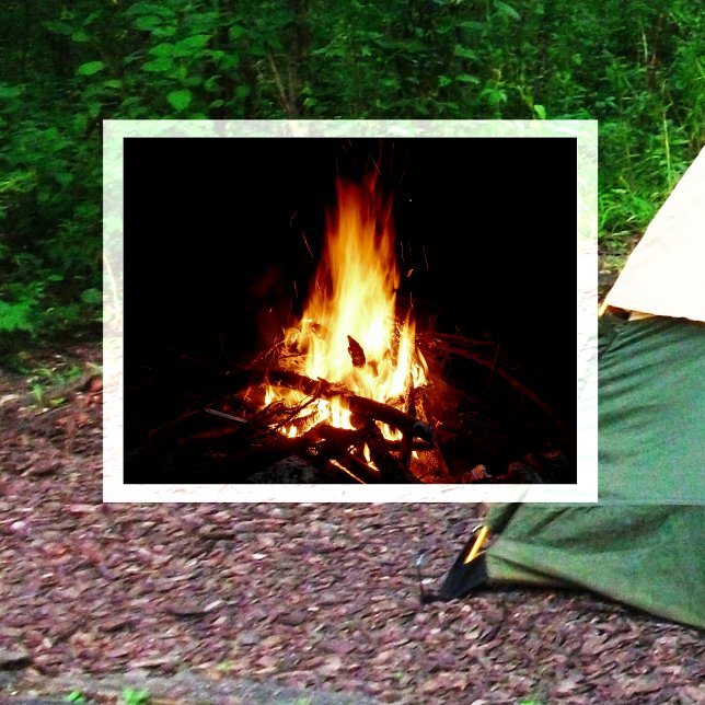 Campfire Burning at Night Postcard Vykort (Skapare uppladdad)