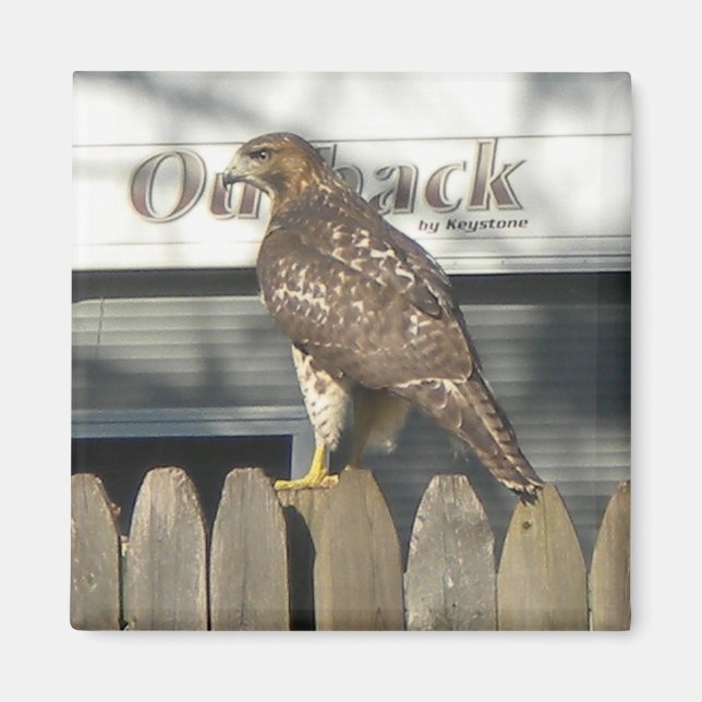 Camping Hawk Magnet (Framsidan)