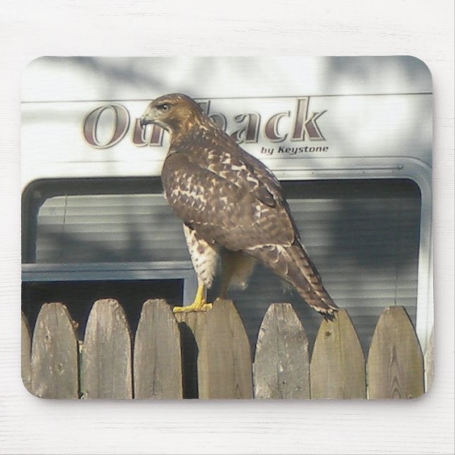 Camping Hawk mousepad Musmatta (Framsidan)