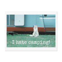 Camping Katt