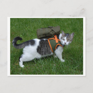 Camping Kattunge Vykort