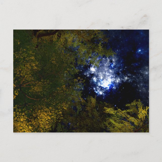 Camping under Stars Postcard Vykort (Framsida)