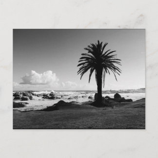 "Camps Bay South Afrika" BW JTG-vykort Vykort