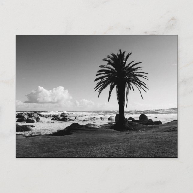 "Camps Bay South Afrika" BW JTG-vykort Vykort (Framsida)