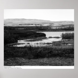 Campus från andra sidan Wildlife Bassäng, Irvine, Poster