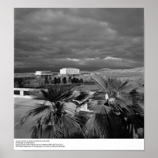 Campus Scene, UC Irvine, 1967 Poster (Framsidan)
