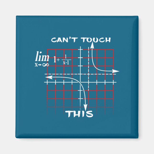 Can T Touch This Equation Math Funny Gift  Magnet (Framsidan)