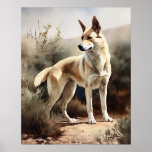 Canaan Hund Art Print Poster