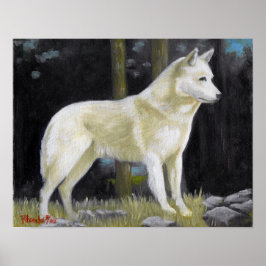 Canaan Hund Porträtt Poster Skriv ut