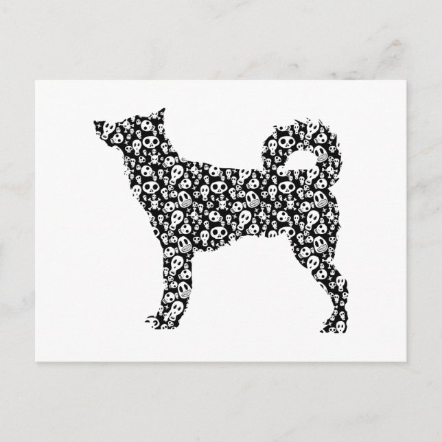 Canaan Hund Vykort (Framsida)