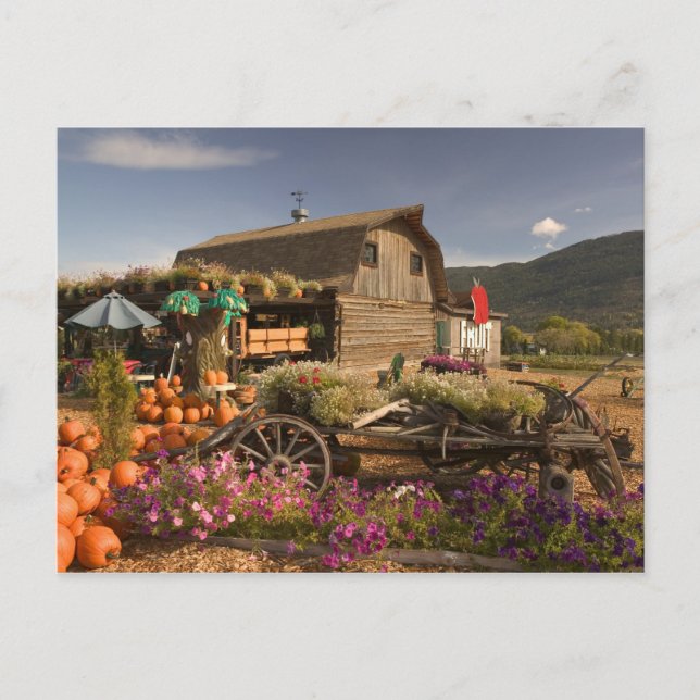 CANADA, British Columbia, Enderby. Log Barn Vykort (Framsida)