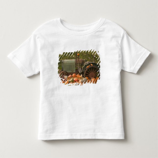 CANADA, British Columbia, Keremeos. Höger / 2 T-shirt (Framsida)