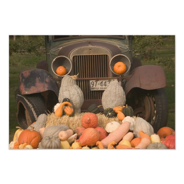 CANADA, British Columbia, Keremeos. Höst / Fototryck (Framsidan)